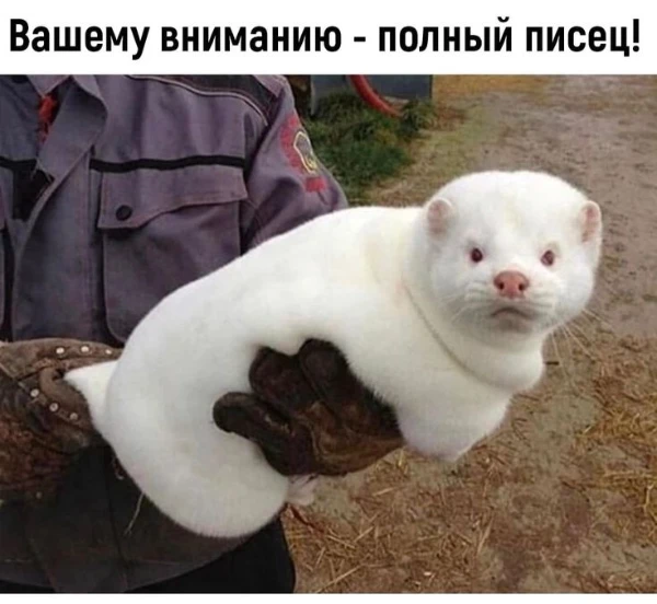 Ну что сказать, удачи.                                                                               