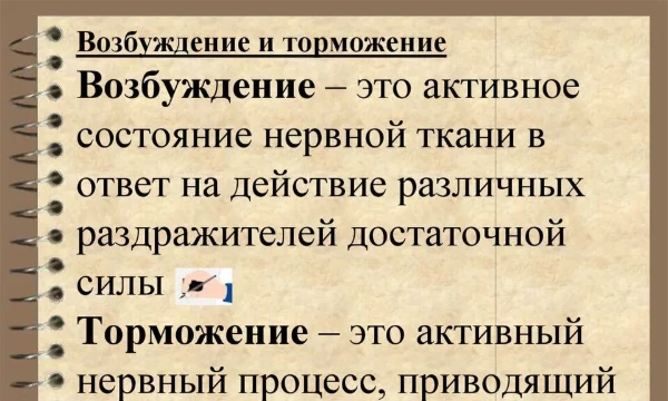 Например: Возбуждение!                                                                              