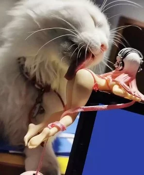 Коты и аниме. Что может быть забавнее? 
