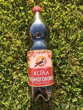 На полках магазинов начали появляться дешёвые напитки под названием кола. Выбирайте какая кола лучше: Кока Кола, Пепси или какой-нибудь другой?