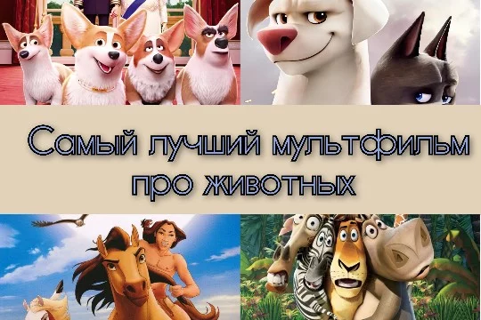 В этом тесте я собрала мультфильмы про животных абсолютно разных годов. Хорошего прохождения! :)