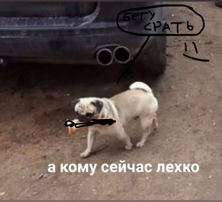 Собачье сердце остановилось или новички отравили собаку Собачье сердце остановилось или новички отравили собаку