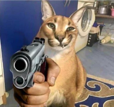 Я уверен что тебе бы хотелось узнать какой шлёпа ты сегодня!
