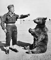 Реальный Войтек Реальный Войтек
