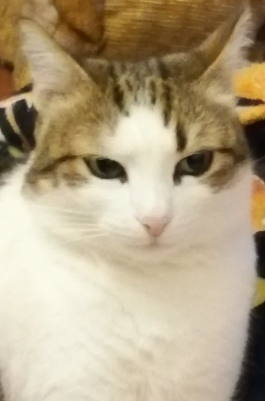 !🙄? !🙄?