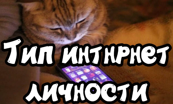 Интернет — это дикий мир, где кто-то шутит 24/7, кто-то вечно спорит, а кто-то просто следит за всем из тени. А ты кто? Пройди тест и узнай