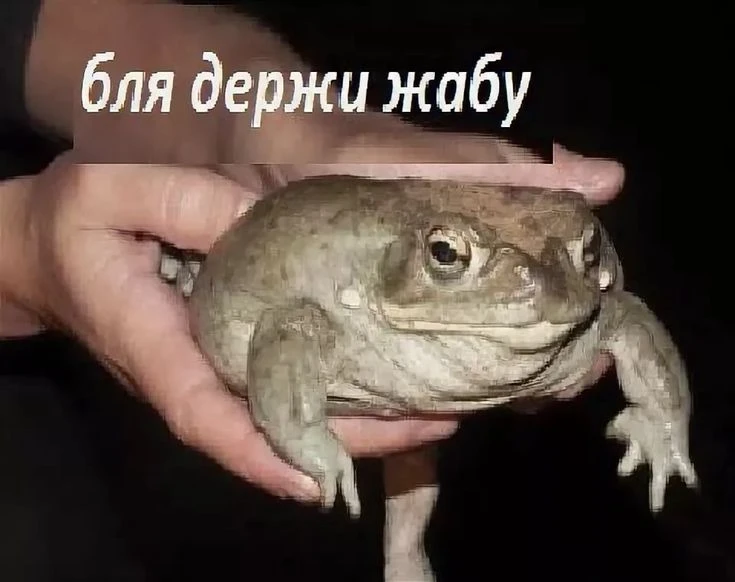 Посты в посте || Идеи которые мне понравились, но мне лень выделять для этого отдельный пост Посты в посте || Идеи которые мне понравились, но мне лень выделять для этого отдельный пост