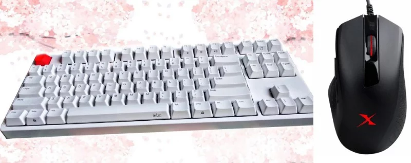 IKBC C87 TKL х A4TECH Bloody X5 Pro IKBC C87 TKL х A4TECH Bloody X5 Pro