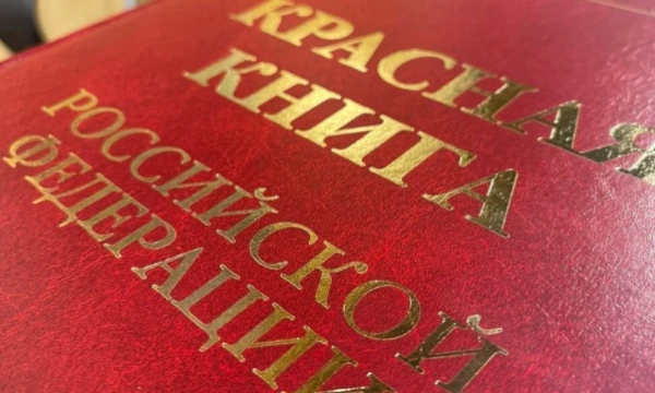 В этом тесте вы сможете проверить свои знания про Красную Книгу Российской Федерации.  Желаю вам приятного прохождения. 