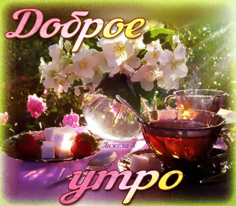 Доброе утро :3 Доброе утро :3