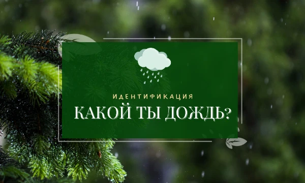 ✩｡:*•. Дождь - это очень интересное явление. Всё просто, как и всегда: этот тест расскажет вам, какой вы дождь. Приятного прохождения! .•*:｡✩