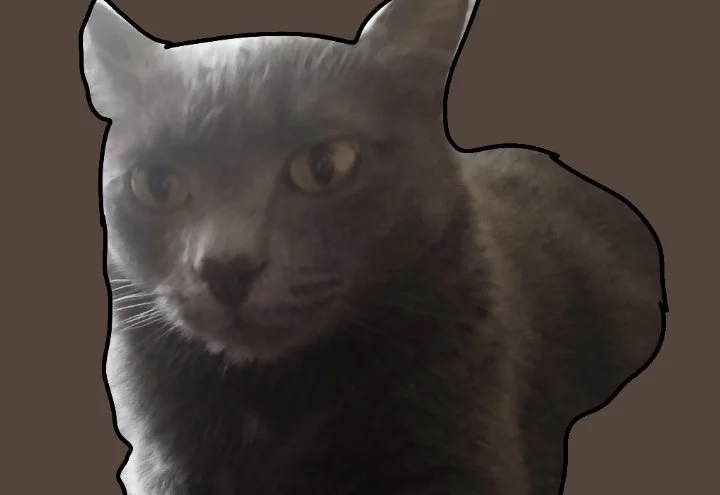 Кот Foxina Кот Foxina
