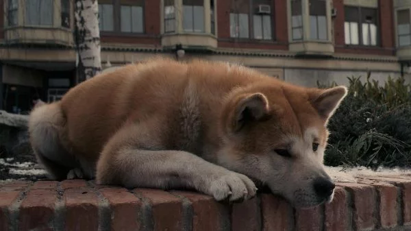Выбери Лучший Фильм ( и один сериал ), Основанный на Реальных Событиях! 