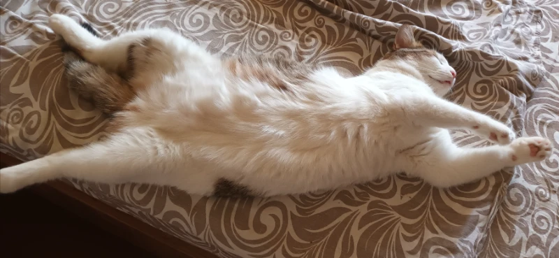 Алисочка🥰. Алисочка🥰.