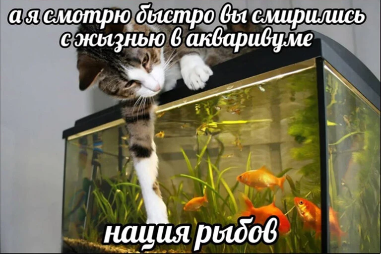 Милота :3 Милота :3