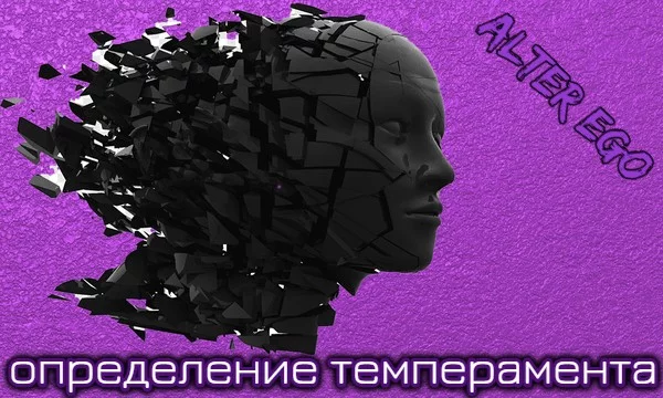 Определи свой темперамент по методике Айзенка. Данная методика придумана и разработана не мной, я лишь в точности адаптировал данную методику под Pikuco.ru. Дополнительные пояснения в комментариях.