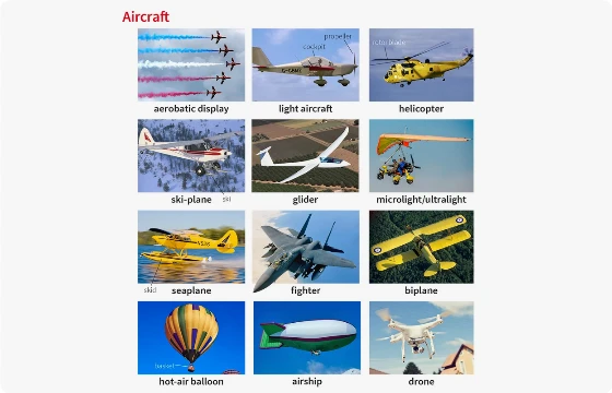 choose the plane