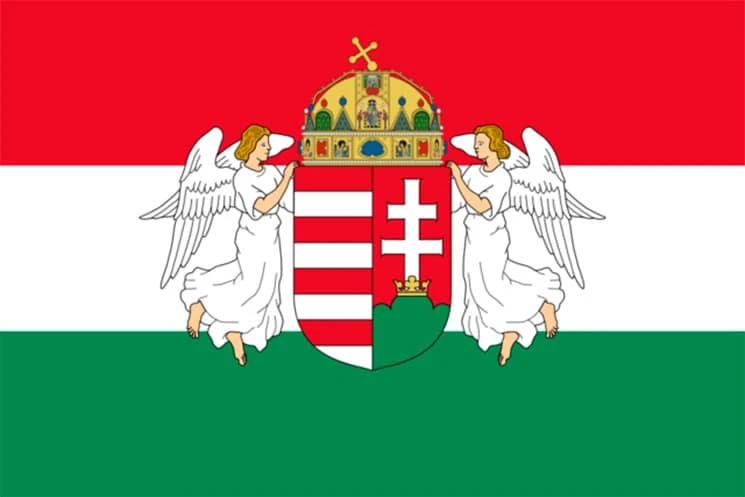 Венгерская зачистка. Венгерская зачистка.