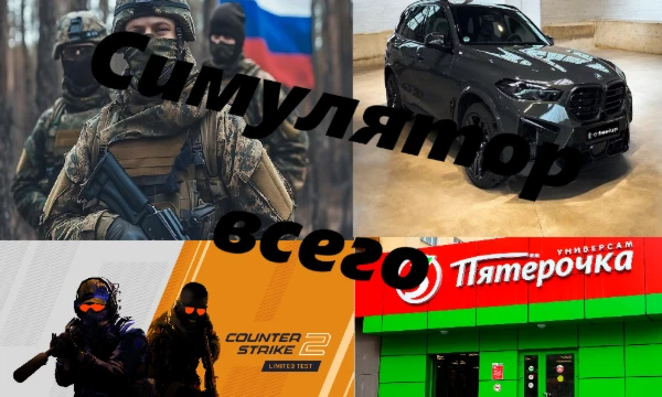 В этом симуляторе вы сможете делать... ВСЁ ЧТО УГОДНО!!! От езды на бмв до покупки колы в пятёрочке, от игры в кс до службы в армии. Надеюсь вам понравится

