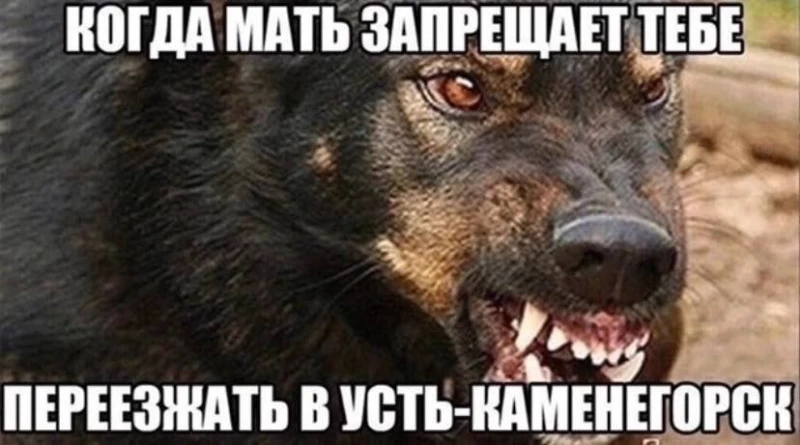 Полный список смешных топонимов Полный список смешных топонимов