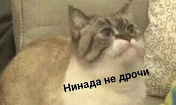 Вашему вниманию Топ самых популярных актрис 2024 года! Выберите ту, которая на ваш взгляд, более привлекательна. Погнали!