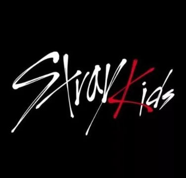 Привет! Представлю вам песни популярной Корейской группы Stray Kids. Слушаешь их? Тогда выбери самую любимую песню!
Желаю удачи! 