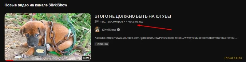 4 часа назад, Он опубликовал вот такой ролик, Первое что я подумал, Опять какие-то ублюдки снимают на камеру, Как бьют животных, Но там было похуже... 4 часа назад, Он опубликовал вот такой ролик, Первое что я подумал, Опять какие-то ублюдки снимают на камеру, Как бьют животных, Но там было похуже...
