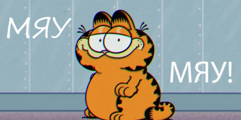 МЯУ МЯУ! МЯУ МЯУ!