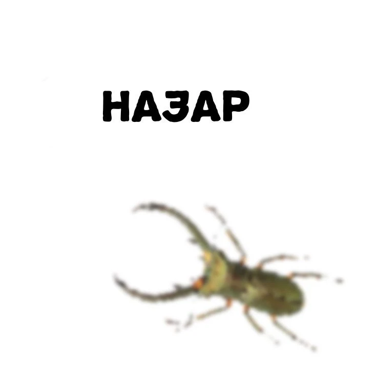 Что найдётся в Pinterest, если ввести свое? (Nazarep111) Что найдётся в Pinterest, если ввести свое? (Nazarep111)