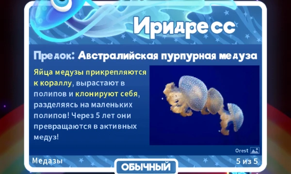  Какая ваша любимая суперзвёздная рыбка из игры superstarfish