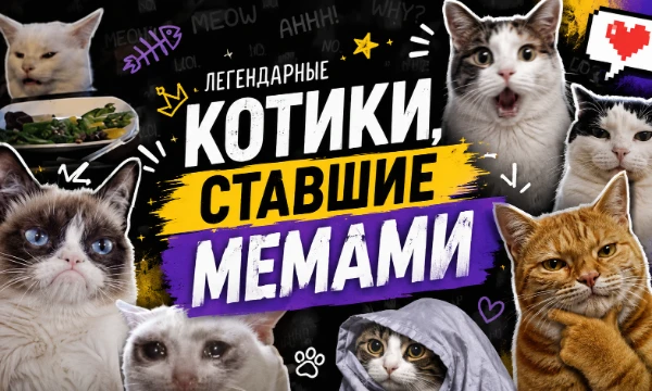 Котики - база. И просто так, и в мемах. Существует бесчисленное количество мемных котиков, но я постарался выбрать самых мемных! По-любому я кого-то забыл, поэтому прошу не кидаться тапком.