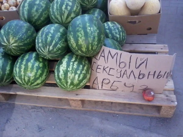 Сегодня вы узнаете какой вы арбуз!!! 