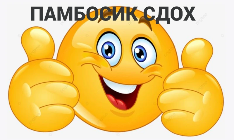 Не, ну а чё? Не, ну а чё?