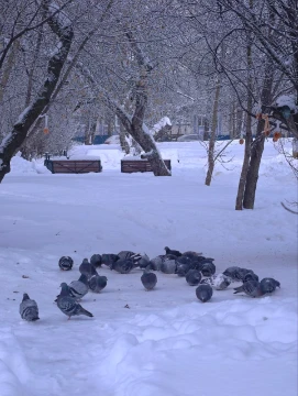Третий полуфинал номинации "Фотография года". В этом полуфинале представлены наши натюрморты, но не еда. Тут вы можете оценивать и свои фотокарточки, ведь в данном случае вы фоткаете момент жизни.