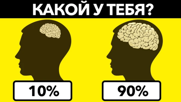 В этом тесте вы сможете проверить насколько вы умны. Вас ждет тест, состоящий из простых вопросов школьной программы. Однако далеко не все взрослые люди смогут ответить на все вопросы правильно.
