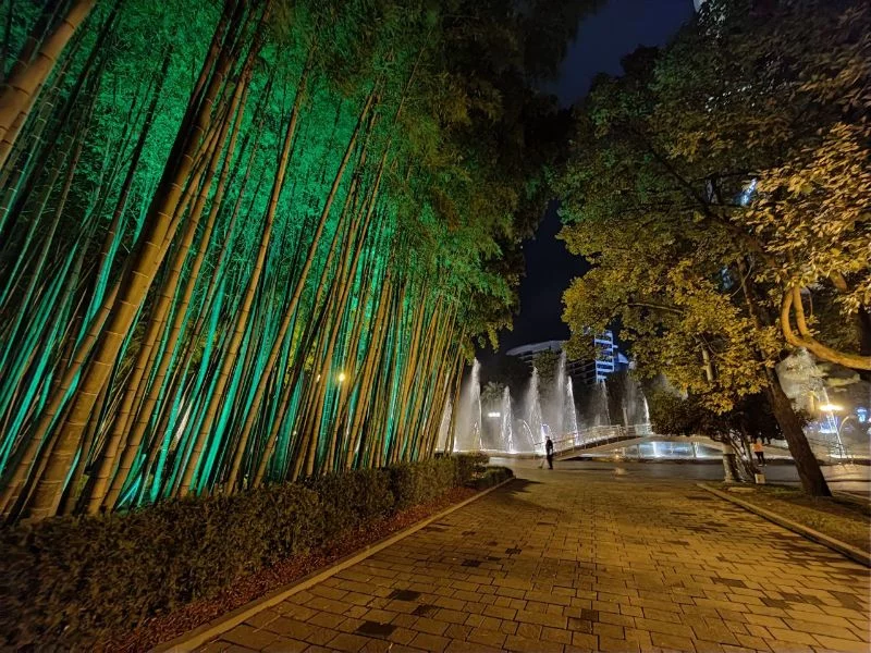 Бамбуковая роща и поющие фонтаны на Батумском бульваре. "Танцуют" под самую разную музыку: от народной и классической, до Blur и Linkin Park. Бамбуковая роща и поющие фонтаны на Батумском бульваре. "Танцуют" под самую разную музыку: от народной и классической, до Blur и Linkin Park.