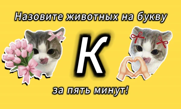 Сможешь вспомнить всех? За 5 минут перечисли как можно больше животных, названия которых начинаются на букву "К".  [Обновлено секретными животными]