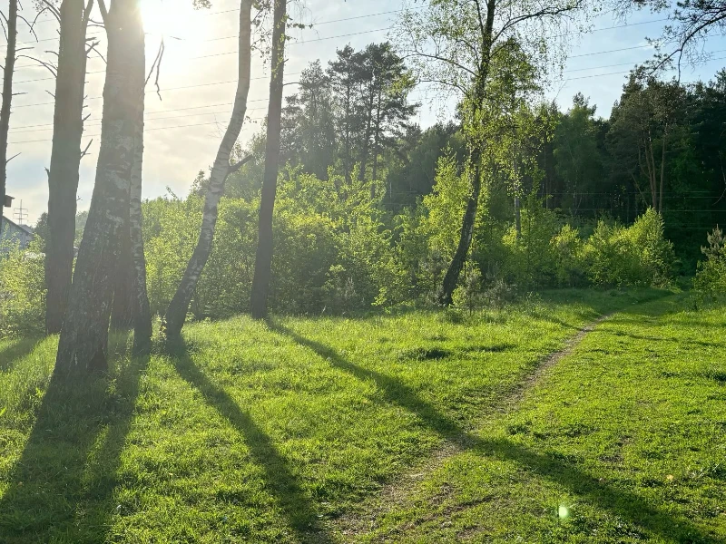 Приехали наконец Приехали наконец