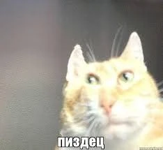 Е*аааать Е*аааать