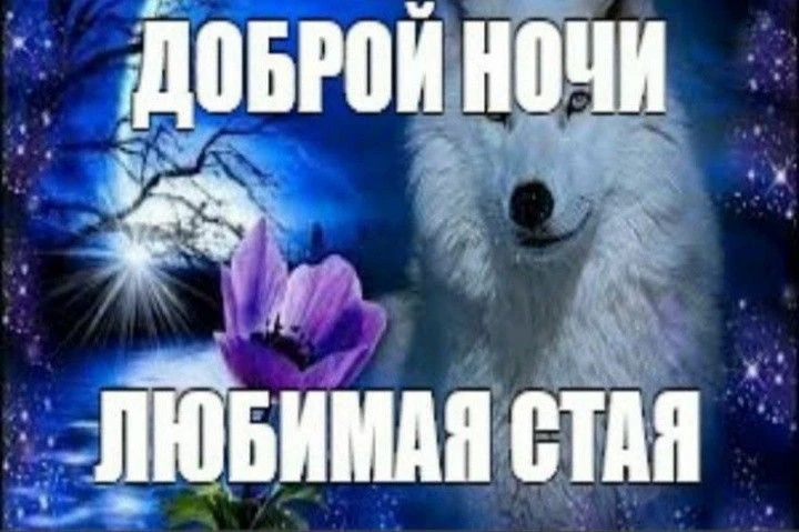 20 лет.... 20 лет....