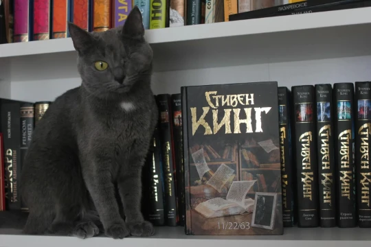Стивен Эдвин Кинг (род. 21 сентября 1947, Портленд, Мэн, США) — американский писатель, работающий в разнообразных жанрах, включая ужасы, триллер, фантастику, фэнтези, мистику, драму, детектив. 