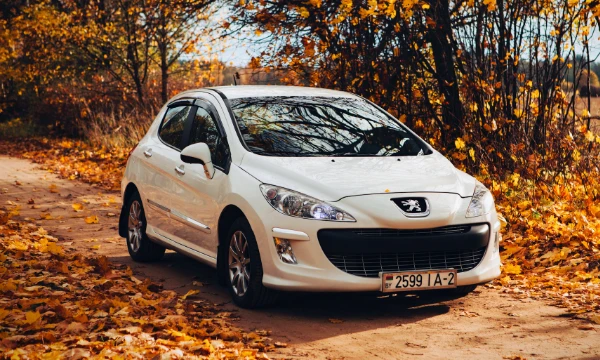 Peugeot — французский производитель автомобилей, а также велосипедов, мопедов и мотороллеров. С 2021 года компания принадлежит корпорации Stellantis