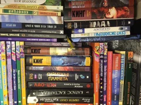 Где-то в 2016 году наткнулся на книгу по Доктору Кто, прочитал за один день и так началась моя книжная мания. Что-то прочитал, что-то дожидается, а что-то заменить пришлось.