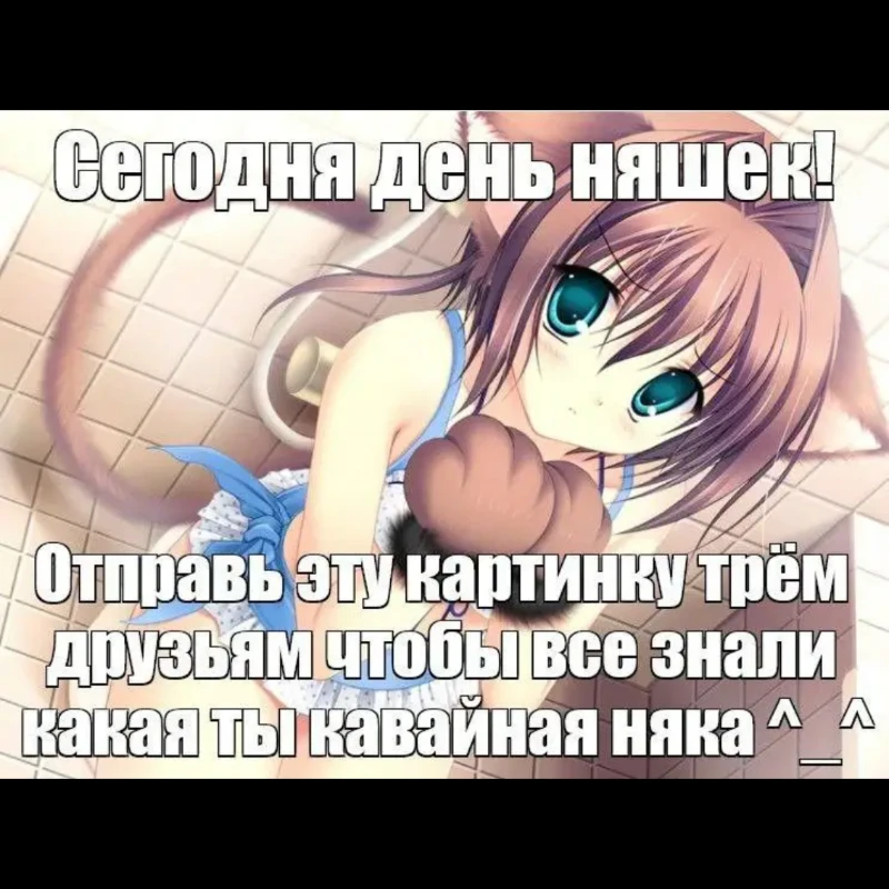Скриншот мема из ВК Скриншот мема из ВК