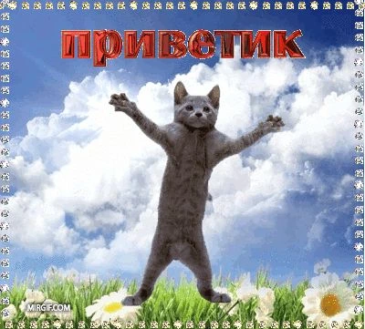 Здарова всем! Здарова всем!