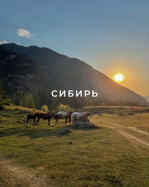 Сибирь — это уникальный регион, который полон различных представителей флоры и фауны. Мы предлагаем пройти тест, который поможет узнать, какой представитель Сибири наиболее подходит вам по духу.