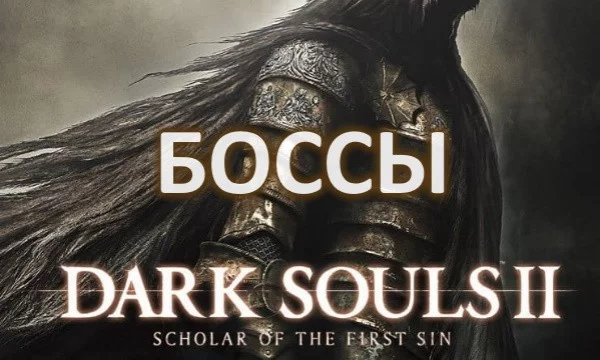Этот тест определит ваши знания по каждому из боссов по игре Dark Souls 2. Здесь в вопросах представлены 41 боссов, на каждый по один вопрос.