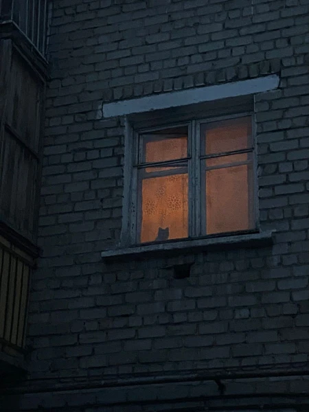 Хой! Спят усталые игрушки, книжки спят. Ночью нужно отдыхать, а кто - то снова сидит за экраном)
Я хочу успокоить твою нервную систему и подобрать для тебя уютную кроватку. Приятного прохождения ♡