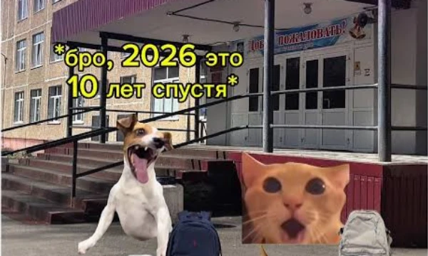 Вторая часть мемов, так как в первую часть из-за ограничения в 100 картинок не вместилось всё. Приятного прохождения!
