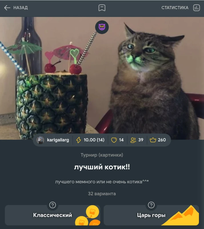 Плюсы и минусы Турниров Плюсы и минусы Турниров